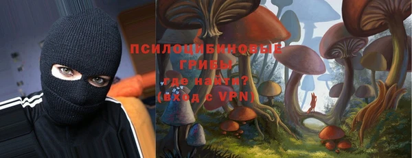 мет Каменка