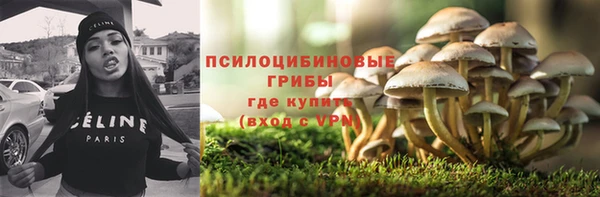мет Каменка