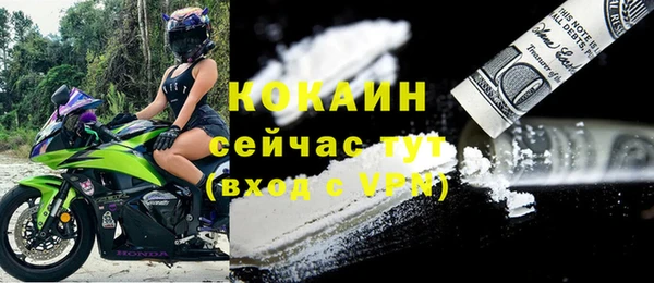 мет Каменка