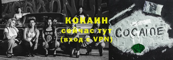 мет Каменка